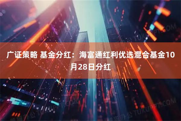 广证策略 基金分红：海富通红利优选混合基金10月28日分红