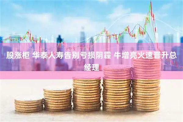 股涨柜 华泰人寿告别亏损阴霾 牛增亮火速晋升总经理