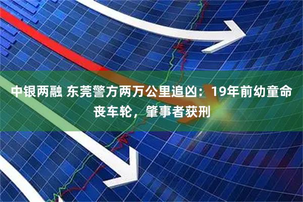 中银两融 东莞警方两万公里追凶：19年前幼童命丧车轮，肇事者获刑