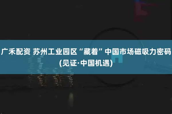 广禾配资 苏州工业园区“藏着”中国市场磁吸力密码(见证·中国机遇)