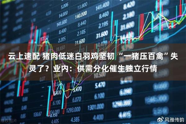 云上速配 猪肉低迷白羽鸡坚韧 “一猪压百禽”失灵了？业内：供需分化催生独立行情